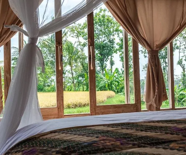 Gasthof Kidem 4*