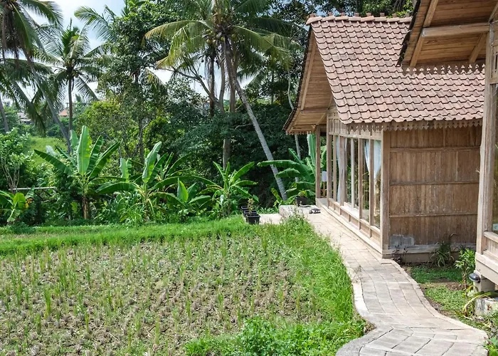 Kidem Ubud