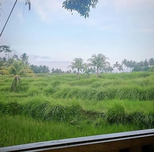Kidem Gasthof Ubud